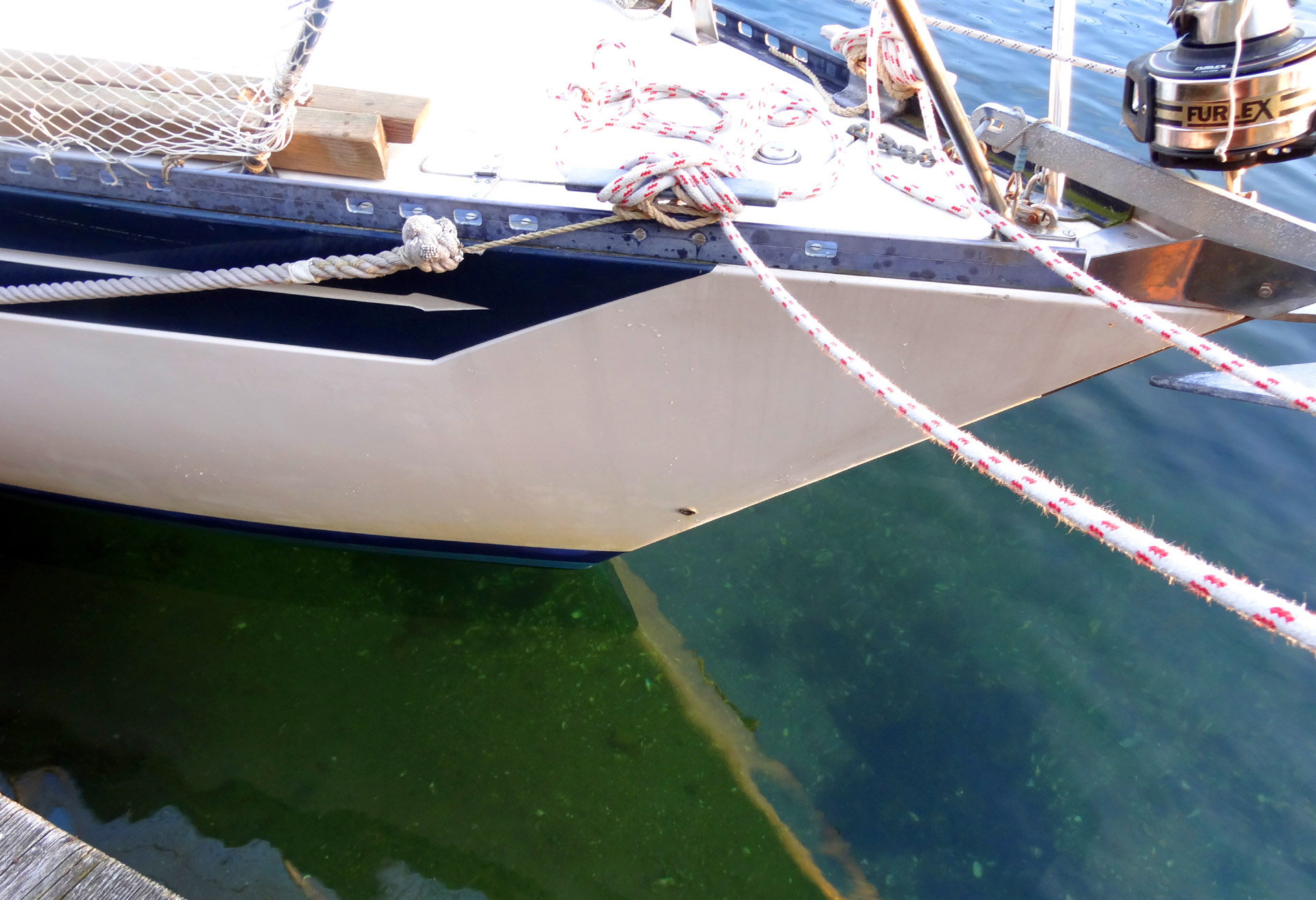 How clean the water is - what a difference to the North Sea!